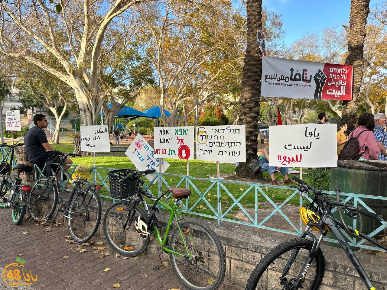 msg5376033352-1237 (1).jpg